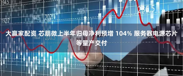 大赢家配资 芯朋微上半年归母净利预增 104% 服务器电源芯片等量产交付
